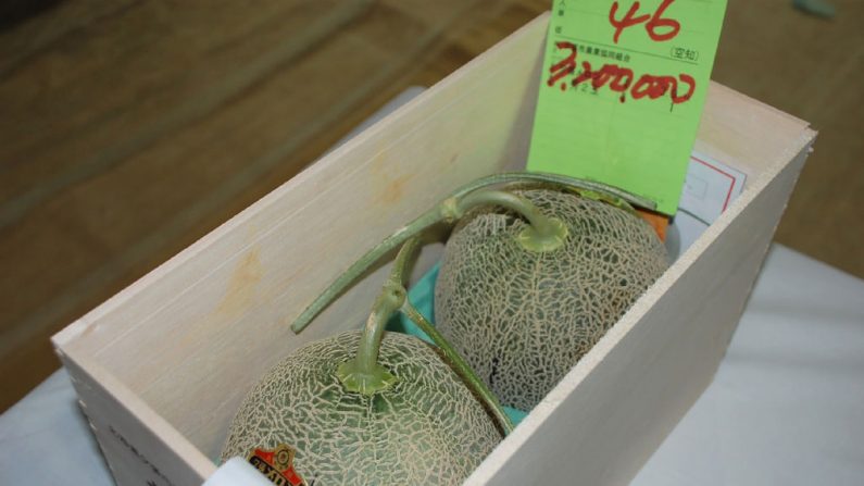 Deux melons Yubari, on atteint une valeur record de 3,2 millions de yens soit (29 300 $) près de (30.000 £) lors d'une vente aux enchères, est observée à Sapporo au Japon le 26 mai 2018. Photo JIJI PRESSE / AFP / Getty Images.