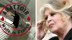 Vidéosurveillance dans les abattoirs : Bardot écrit à Macron