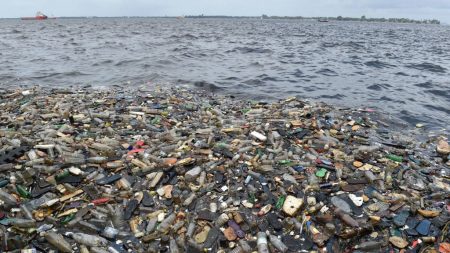 Les États en première ligne pour lutter contre le plastique (responsable ONU)