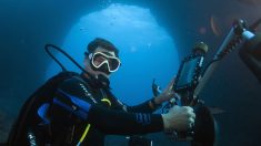 400 heures sous l’eau pour mettre en lumière les coraux