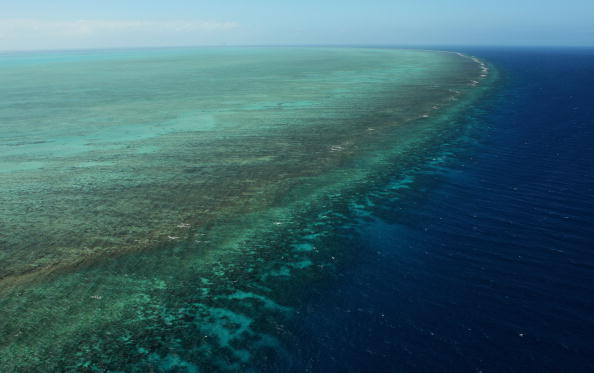Des vues aériennes de la Grande Barrière de corail observés d'en haut à Cairns, en Australie. Photo par Phil Walter / Getty Images.