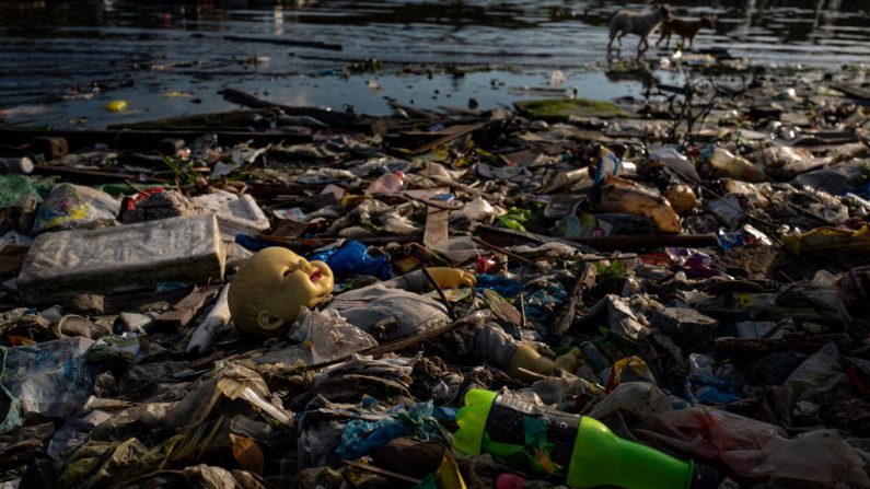 Les déchets plastiques remplissent une plage. Photo de Jes Aznar/Getty Images.