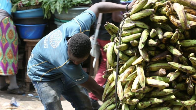 Un jeune garçon du Togo transporte une cargaison de bananes au marché du Mont Bouet à Libreville le 25 juin 2018. - Acheté en Afrique de l'Ouest, des centaines d'enfants victimes de la traite arrivent au Gabon, un pays pétrolier relativement riche d'Afrique centrale qui lutte pour se battre contre les réseaux de trafiquants. Photo STEVE JORDAN/AFP/Getty Images.