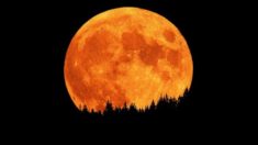 Éclipse : ne manquez pas la lune rousse de vendredi