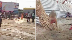 Des badauds filment un animal errant abandonné – mais alors, un singe débarque et fait l’impensable