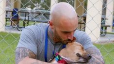 Un détenu chargé de dresser un chien en prison finit par en tomber amoureux – et cela va changer sa vie