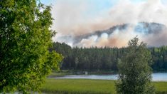 La Suède face au risque « extrême » de nouveaux incendies à l’approche de la canicule