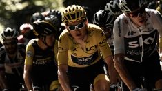 Emmanuel Macron annule son déplacement mercredi sur l’étape du Tour de France