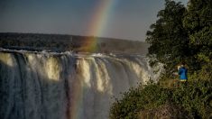 Après la chute de Mugabe, le tourisme zimbabwéen reprend des couleurs