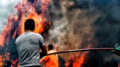 Incendies en Grèce : le bilan s’alourdit, les recherches continuent