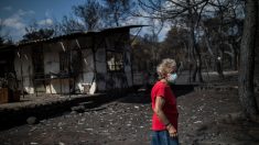 Grèce : les bénévoles affluent pour aider les rescapés des incendies