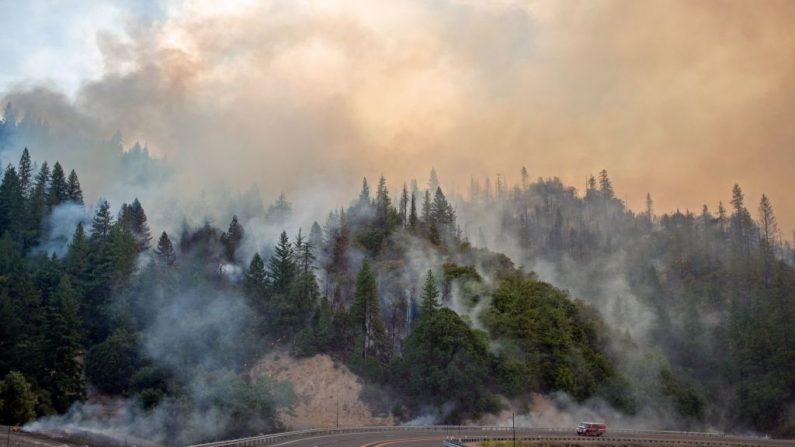 Le 28 juillet 2018. Le gouvernement fédéral américain a approuvé l'aide du 28 juillet pour la Californie, des milliers de pompiers feux de forêt ce sont engagés, les feux ont tué six personnes, dont deux jeunes enfants et leur arrière-grand-mère, et détruit des centaines de bâtiments. Photo JOSH EDELSON / AFP / Getty Images.
