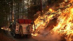 USA: l’incendie près du parc de Yosemite s’étend