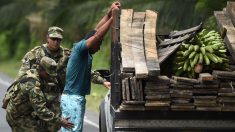 Colombie: les deux corps retrouvés sont ceux d’un couple équatorien enlevé