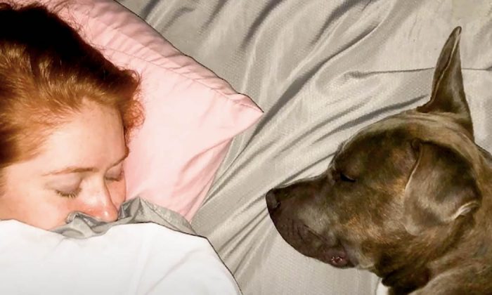 Une femme souffrant de 15 maladies adopte un chien avec les mêmes problèmes
