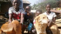Un homme a remarqué la violence contre les animaux dans tout le Libéria, alors il s’est tourné vers les enfants pour obtenir de l’aide