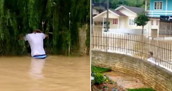 Un homme entend des cris désespérés près d’une maison inondée… ce qu’il trouve à l’intérieur est bouleversant