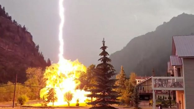 Aux États-Unis, un éclair frappe un arbre dans le Colorado, c’est impressionnant !