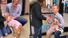 Un homme fait sa demande à sa petite amie avec l’aide d’un adorable chien de refuge qu’il vient d’adopter