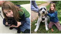 Un garçon de 9 ans demande à des étrangers s’il peut caresser leur chien, ses photos deviennent virales sur Twitter