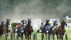 Etats-Unis : première course de trotteurs nés en France sur l’hippodrome de Yonkers