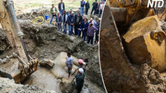 Une statue Colossale vieille de 3 000 ans du pharaon le plus puissant de l’Égypte ancienne trouvée dans le bidonville du Caire