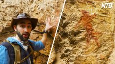 Un explorateur de la nature sauvage et blogueur découvre des peintures rupestres datant de plusieurs siècles en Afrique du Sud