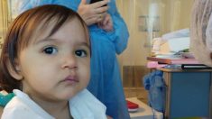 Loiret : une fillette de 20 mois dans l’attente urgente d’une greffe de moelle osseuse
