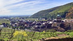 Les Vosges alsaciennes, l’escapade proche