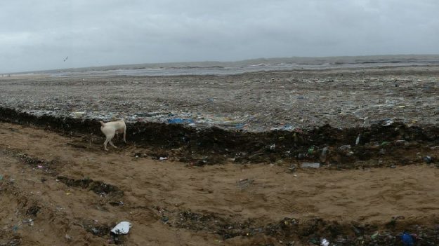 En Inde, la mer recrache des déchets sur les plages, et les images sont stupéfiantes !