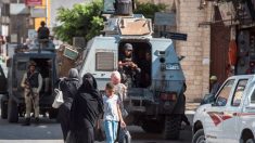 Egypte: 52 jihadistes tués dans le Sinaï (armée)