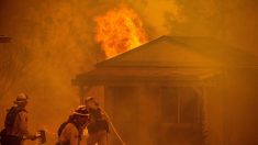 Deux foyers forment le plus grand incendie de l’histoire de la Californie