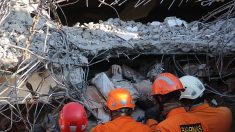 Séisme en Indonésie : au moins 98 morts, plus de 2000 touristes évacués