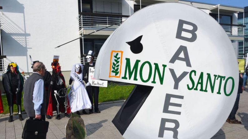 Un manifestant porte un costume en forme de pilule portant les noms de Bayer et Monsanto lors d’une manifestation contre la prise de contrôle du fabricant américain de semences et de pesticides Monsanto par le chimiste allemand Bayer. Photo : PATRIK STOLLARZ / AFP / Getty Images.