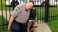 Un ancien policier achète son partenaire canin adoré pour 1 € – un don de 55 500 € de la communauté est offert comme une œuvre de charité