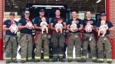Les pompiers d’une même caserne posent pour une séance photo, tous les 7 viennent d’avoir leurs bébés