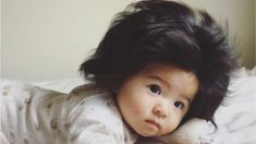 Né avec une tête pleine de cheveux, ce bébé japonais a maintenant 223 500 adeptes