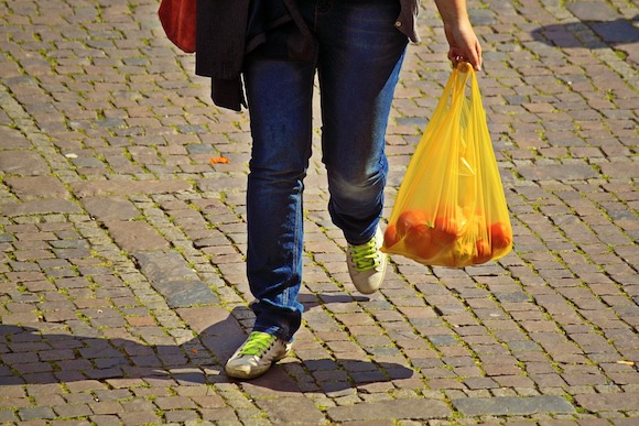 Le Chili est devenu le premier pays d'Amérique du Sud à interdire les sacs plastiques (Photo Pixabay)