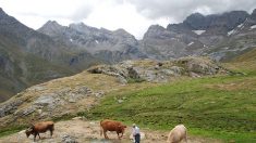 France: un randonneur espagnol fait une chute mortelle