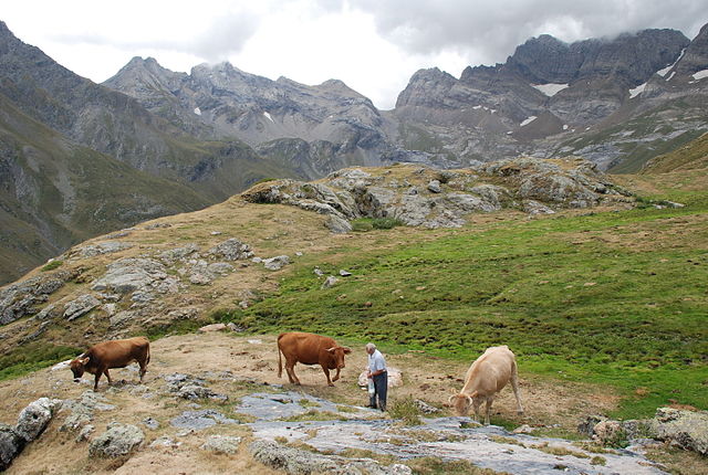 Le Cirque d'Estaubé dans lequel est situé le pic de la Pinède, sommet à 2.860 m d’altitude. Photo de Darreenvt sur Wikipédia.