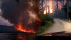 Des images hallucinantes montrent un père et un fils traversant le feu de forêt du Montana