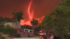 Vidéo effrayante : les images d’une « tornade de l’enfer » capturées durant l’incendie qui ravage la Californie