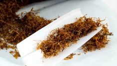 Les « roulées » plus toxiques que les cigarettes manufacturées