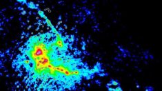 Un mystère de taille stellaire : l’origine de la masse des étoiles