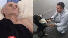 Un cycliste fait une chute très grave, mais un chien errant finit par lui sauver la vie d’une façon incroyable