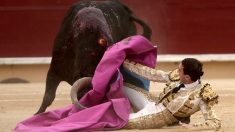 Le torero français Thomas Joubert grièvement blessé lors d’une corrida à Bayonne