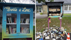 Une boîte à lire et ses livres incendiés à Daoulas suscite l’indignation et le soutien des habitants