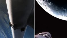SpaceX annonce le tout premier voyageur lunaire privé