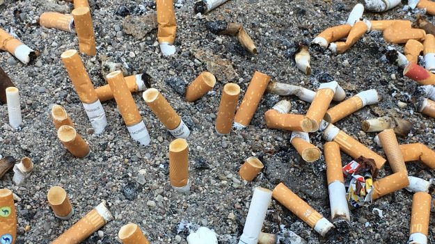 Les mégots de cigarettes polluent davantage les océans que le plastique