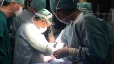 Le compte-rendu rare d’un témoin oculaire présent lors d’un prélèvement d’organes à vif – « Aucun anesthésiant n’a été utilisé »
